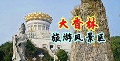 一级棒棒鸡巴中国浙江-绍兴大香林旅游风景区